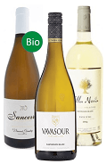 kvalitní víno Sauvignon blanc od OceněnávínaCZ